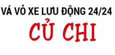 TLT Việt Nam